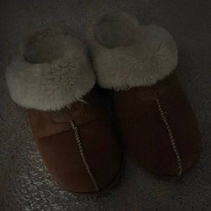 Size 12 slippers
